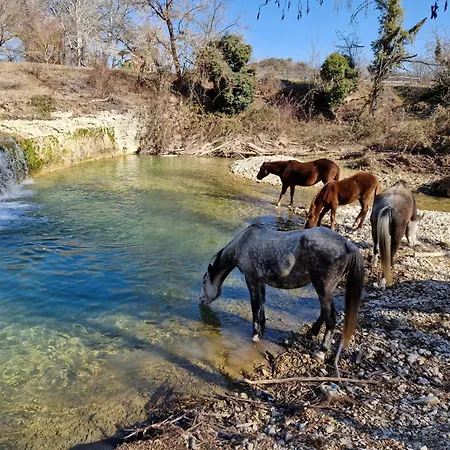1 Ferme Equestre Les Coccinelles * Lurs