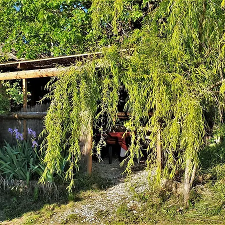 Daire 1 Ferme Equestre Les Coccinelles *