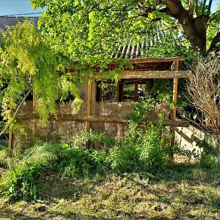 1 Ferme Equestre Les Coccinelles *